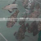 Recirculating Aquaculture Systems Suppliers thumbnail-1