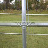 Serre Tunnel de Jardin - 4 x 3 x 2.4 m thumbnail-2