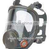 CE Standard Full Face Dust Mask for Worker thumbnail-1