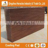 China Trade Assurance Pad and Fan Greenhouse Cooling Systems for Poultry Farm and Greenhouse thumbnail-2