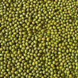 Green Mung Beans thumbnail-1