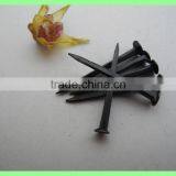 Fine Blue Shoe Tacks / Fine Blue Shoe Nails thumbnail-2