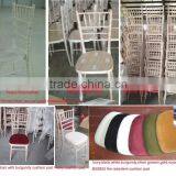 Ivory Pad Limewash Chivari Chair for Event thumbnail-3