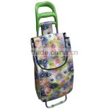 Fashion Foldable Supermarket Shopping Trolley Bag