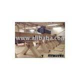 Chain Conveyor thumbnail-1