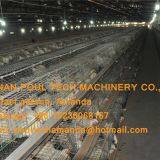 Morocco Broiler Farming Automatic Broiler Cage & Chicken Cage With Automatic Feeding System & Nipple Drinking System