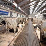 Prefab Steel Structure Barn Prefabricated Cow Shed Building Cattle Shed thumbnail-1