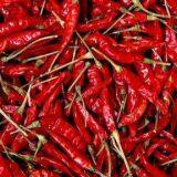 Pepper Drying Machine thumbnail-5