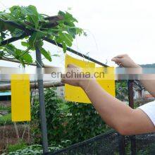 Paper Double Yellow Insect Glue Trap Sticky Paper Trap To Control Flying Plant Insect In Garden thumbnail-5