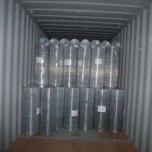 Galvanized Welded Wire Mesh Weldedwiremesh Chickenwirenetting Wire Netting Poultry Fence Poultrymesh Welded Wire Black Wire Black Welded Weldwire thumbnail-5