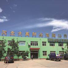 Hebei Dayu Seeds Co.,Ltd. company overview - view 1 thumbnail