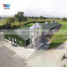Low Cost Malaysia Wall Made Steel Framing Commercial Small Chicken Poultry House Ghana For Layer Chicken