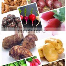 Automatic Ginger Washer and Peeler Machine Cassava Wash and Peel Machine thumbnail-3