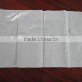 Corn Seed Bag 25kg 50kg/pp Grain Bag