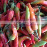 Banana Pepper in Brine thumbnail-1