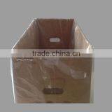 Square Bottom Moisture Proof For Gift Packaging Quality Durable PE Flat Bag thumbnail-2