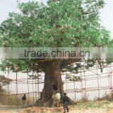 High Imitatd Super Large Artificial Tree thumbnail-1