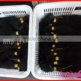 Original Virgin Brazilian Human Hair Extension thumbnail-1
