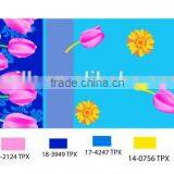 Peached Bedsheet Fabric