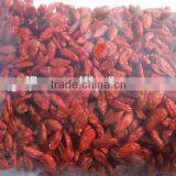 NINGXIA GOJI BERRIES thumbnail-4
