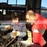 Shenyang New Densen Casting And Forging I & E Co., Ltd. company overview - view 3 thumbnail