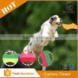 Fun Flyer Training Play Games Dog Toy thumbnail-6