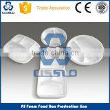 Recycling Automatic Disposable Food Box Vacuum Forming Machine