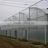 Victorian Greenhouse For Agricultural Vegetable Planting thumbnail-2