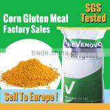 Supply Corn Gluten Powder 65% Protein Golden Corn Color