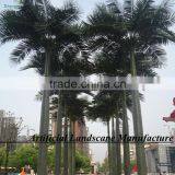 Cheap Palm Tree Fiberglass Palm Tree Decorative Indoor Palm Tree thumbnail-6