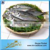 Frozen Gold Line Horse Mackerel With Prices thumbnail-1