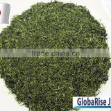 Sen-cha Japanese Green Tea Sencha Produced in Kyoto Uji Japan for Wholesaler thumbnail-5