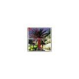 Wholesale Artificial Outdoor Palm Trees Lowes thumbnail-2
