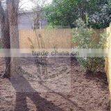 Reed Fence thumbnail-4