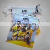 Pe Bunting thumbnail-1