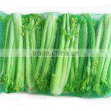 QJY-WD-445A Netting Bag for Vegetable Knitting Machine thumbnail-3
