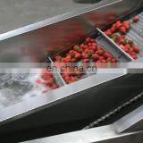 Fresh Fruits and Vegetables Bubble Washing Machine thumbnail-1