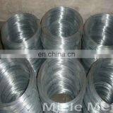 Hot Dipped Galvanized Steel Wire thumbnail-4
