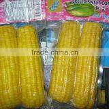 USA Frozen Yellow Sweet Corn Exporting Vietnam