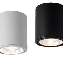 Surface Adjustable COB LED Down Lights (12W) thumbnail-1