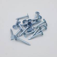 High-Strength Flat Head Roofing Nails 2 Inch 25kg Bulk for Industrial Use thumbnail-1