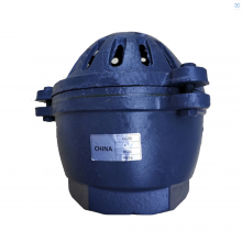 BS/DIN DN100 PN16 Cast Iron/Ductile Iron GG25 GGG50 Foot Valve Flange/Thread Foot Valve Factory thumbnail-4