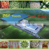 Hangzhou Zhonggefu Import And Export Co., Ltd. company overview - view 1 thumbnail