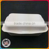 Disposable Bagasse Food Box Hot Sale