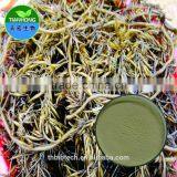 2015 Manufacturer Pure Natural High Quality Fucoidan, Fucoidan Japan, Best Fucoidan Price