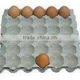 Pulp Egg Tray Making Machine Small Egg Tray Machine thumbnail-4