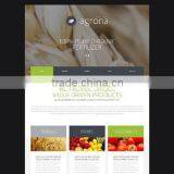 Cost Effective Web Design Services thumbnail-4