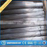 Low Price Soft GI Wire/GI Binding Wire (Factory)