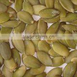 New Crop Pumpkin Seed Kernel Grade A thumbnail-1