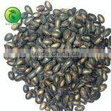 Black Seedless Watermelon Seeds Wholesale thumbnail-1